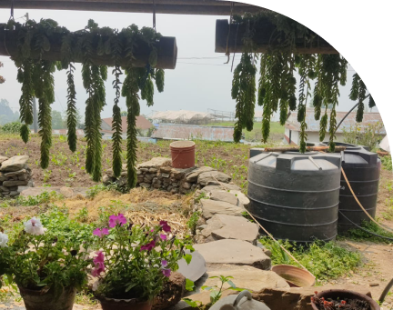 photo of garden